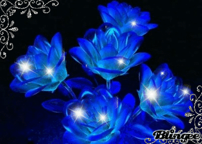 IMG_4297.GIF