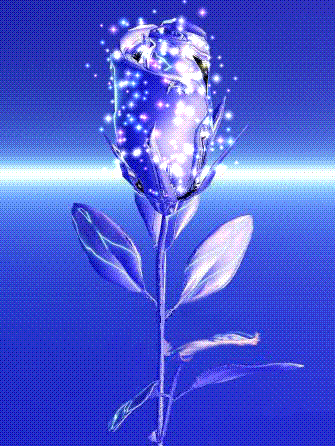 IMG_4302.GIF