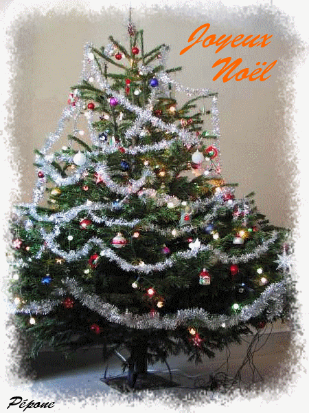 IMG_4304.GIF