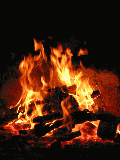 IMG_4361.GIF