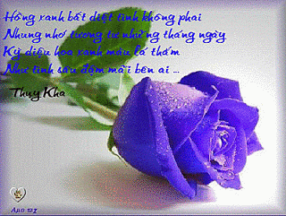 IMG_4417.GIF