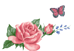 IMG_5065.GIF