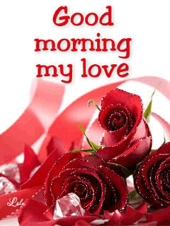 IMG_5648.GIF