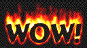 IMG_5727.GIF