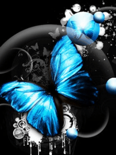 IMG_8220.GIF