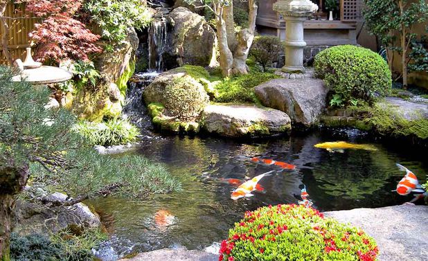 koi-teich-01[1].jpg