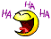 mdrLOL.36.gif