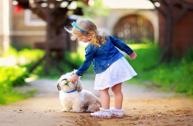 medium_1600x1200-cute-little-girl-play-white-dog-wallpaper[1].jpg