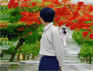 moitinhdau[1].gif