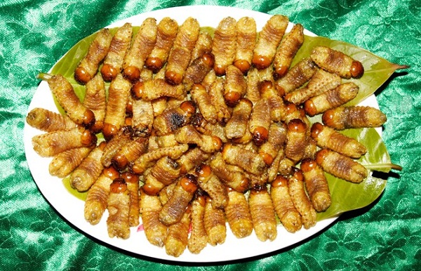 Mon-ngon-mien-Tay-14[1].jpg