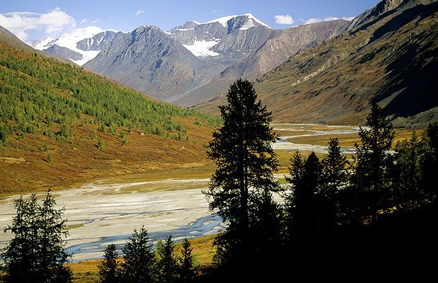 mongola-altai_1496346i[1].jpg