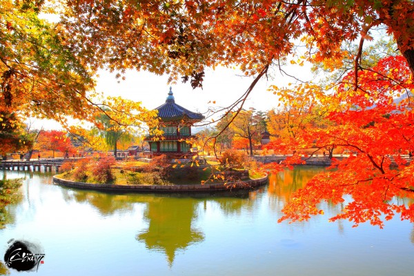 mua-thu-gyeongbokgung-e1414504006923[1].jpg