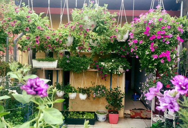 ngam-khu-vuon-hoa-treo-trong-nha-day-lang-man-tai-viet-nam[1].jpg