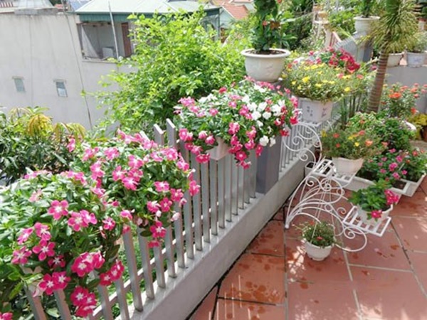 ngam-khu-vuon-hoa-treo-trong-nha-day-lang-man-tai-viet-nam_585[1].jpg