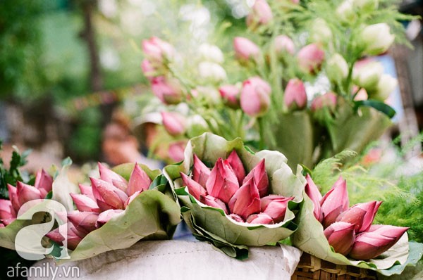 nho-nhung-mua-hoa-thom-ha-noi[1].jpg