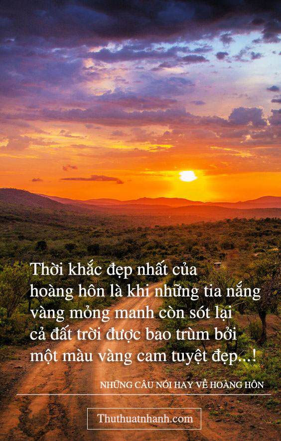 nhung-cau-noi-hay-ve-hoang-hon-dep-nhat.jpg