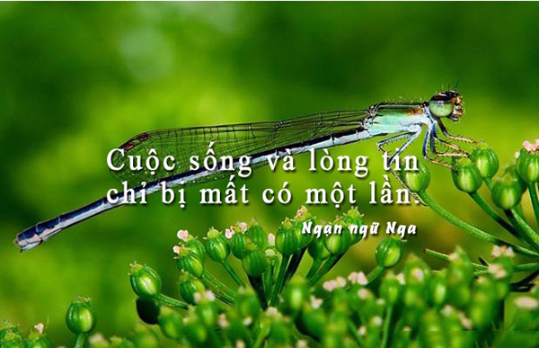 Những-câu-nói-hay-về-niềm-tin-22.jpg