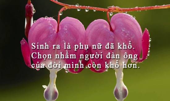 nhung-cau-noi-hay-ve-phu-nu-vo-cung-tam-dac-y-nghia-1[1].jpg