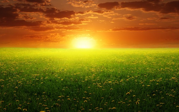 peaceful-spring-sunset-600x375[1].jpg