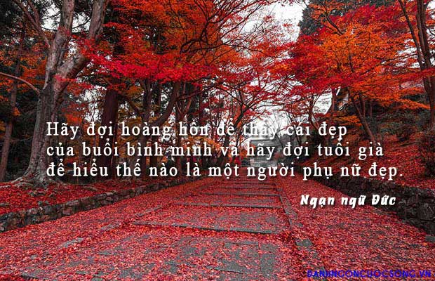 phunu37[1].jpg