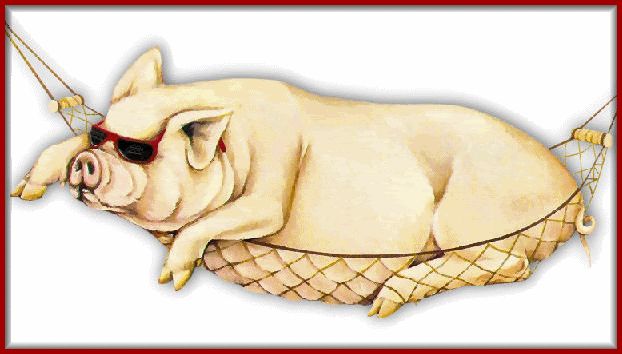 pig-54-gap.jpg