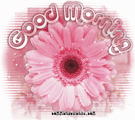 qPzcG1ePt2c5W.gif
