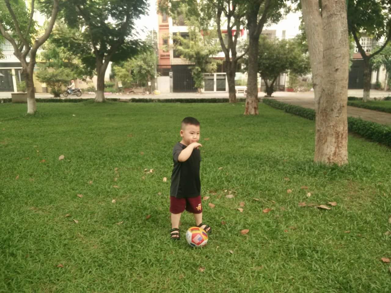 received_232327287152209.jpeg