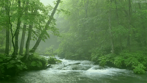 river2[1].gif