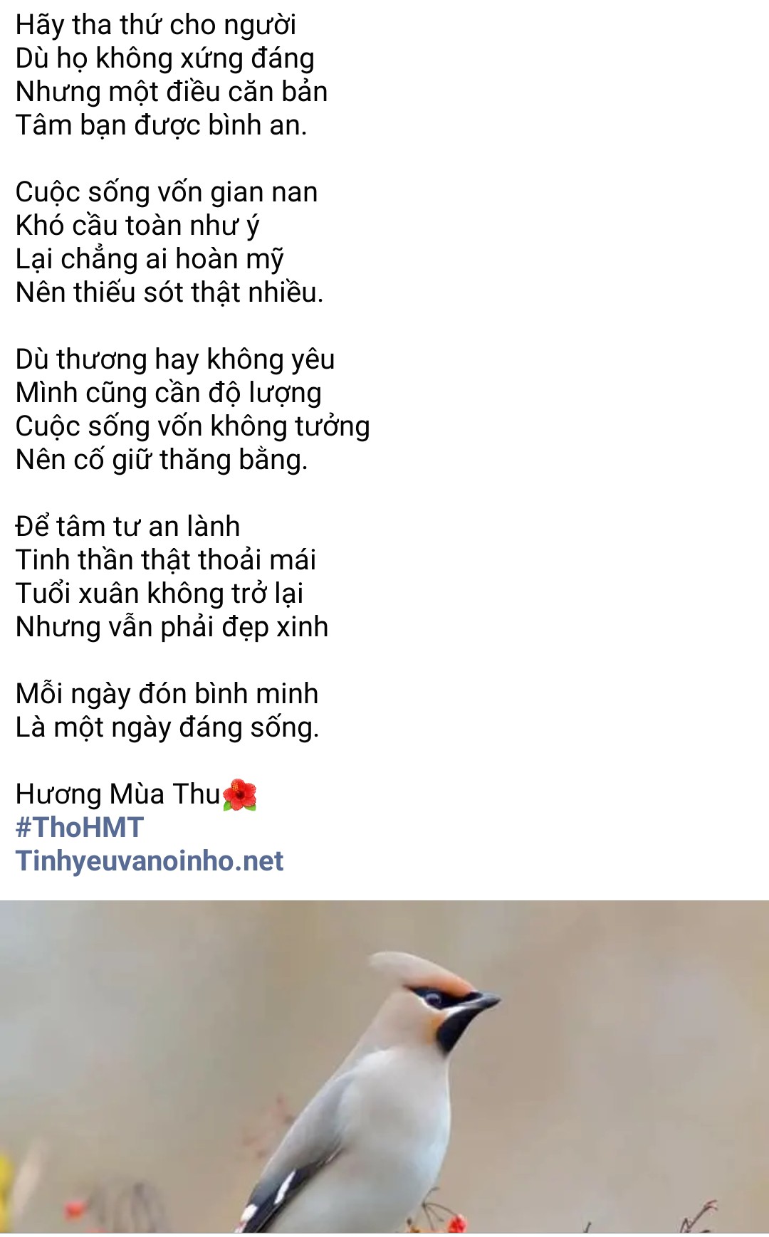 Screenshot_2022-10-12-02-11-44-349_com.facebook.lite~2.jpg