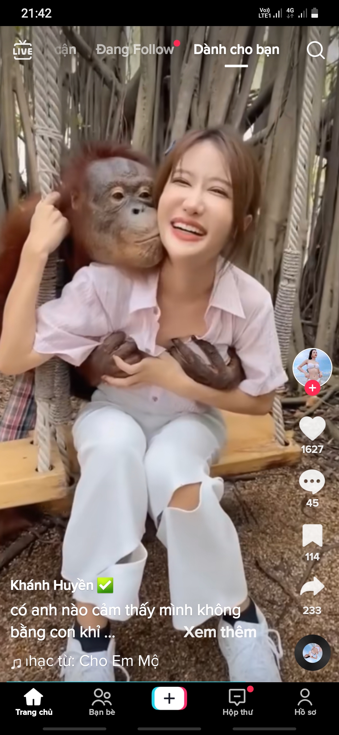 Screenshot_20221226-214250_TikTok.jpg