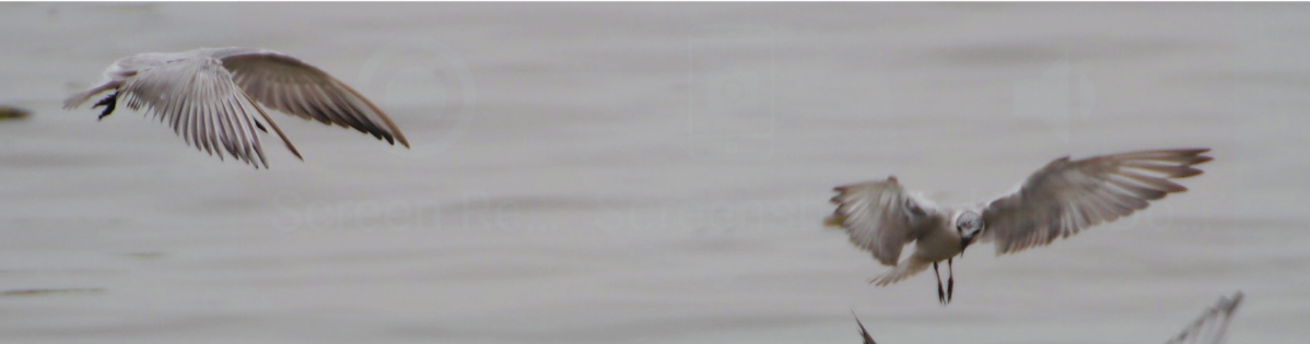 Screenshot_20230116-132957~2.png