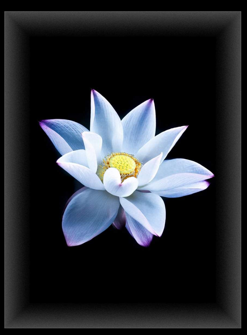 Screenshot_20230207-140852.png