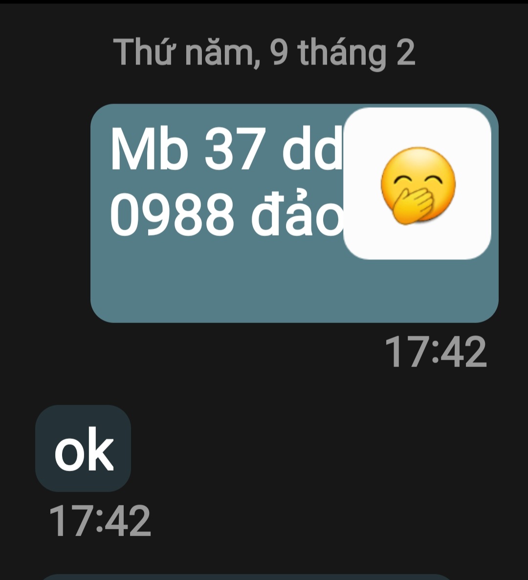 Screenshot_20230209_184553_Messages.jpg