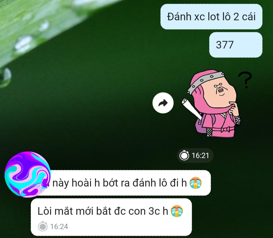 Screenshot_20231025-172917_Zalo.jpg
