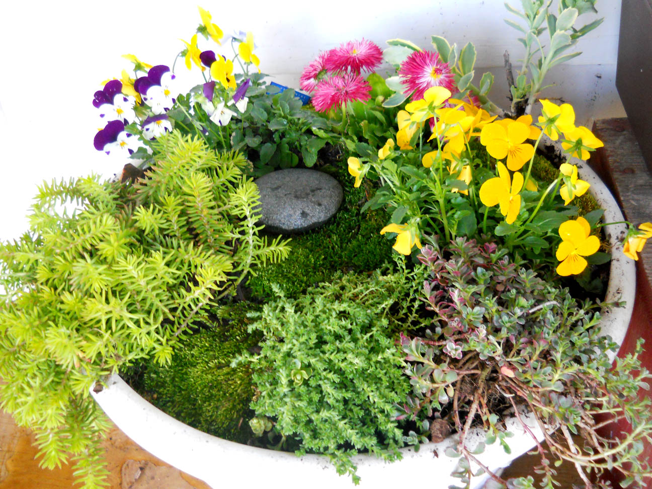 small-flower-gardens-hdflzoxl[1].jpg
