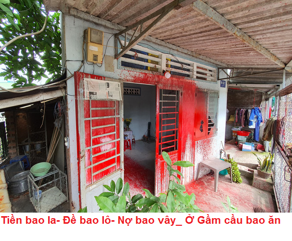 sơn mp.PNG