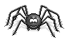 spider07.gif