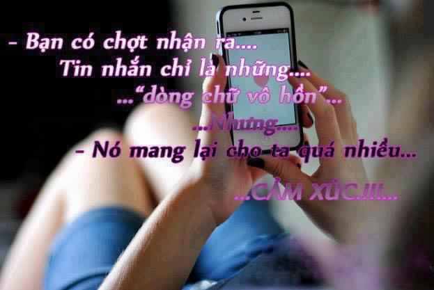status-hay-7.jpg