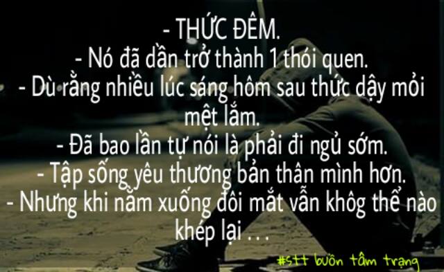 stt-dem-khuya.jpg