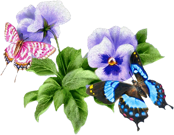 Stylish-Butterflies-Graphic.gif