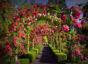 th (10).jpg
