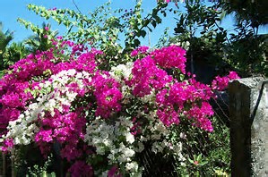 th (11).jpg