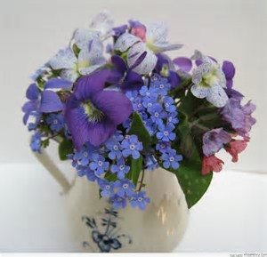 thBGSWX81M.jpg
