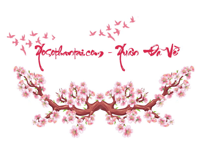 Thiepmung.com_pic_58895fee8517e.jpg