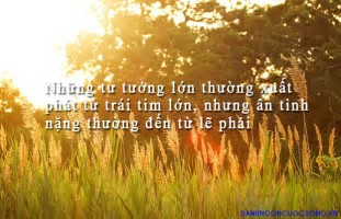 thYL469R36.jpg