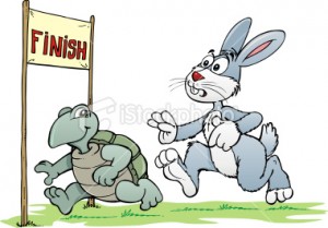 tieng-anh-ngay-nay-rabbit-and-turtle-300x209.jpg