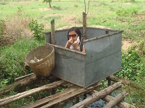 tong-hop-nhung-hinh-anh-hai-huoc-vui-nhon-doc-dao-chi-duy-nhat-co-o-viet-nam-19.jpeg