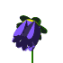 tulip_blue.gif