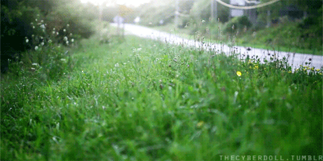 tumblr_lop3oj7agg1qale36[1].gif