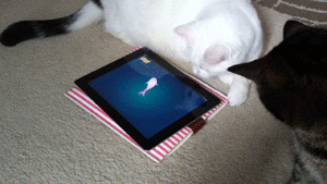 tumblr_m60u9nhqe91rows1to1_400.gif